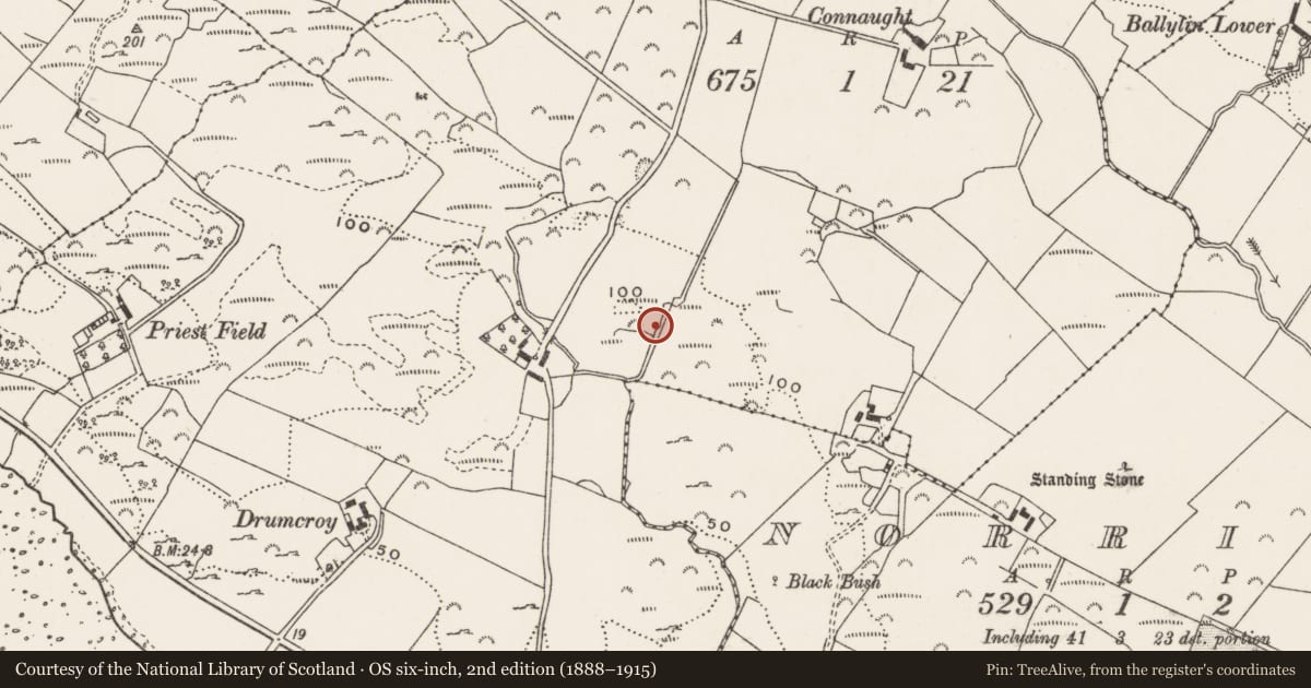 Ordnance Survey six-inch map, 2nd edition (1888–1915) covering the location of Burial ground, Balleelaghan, County Donegal, with a pin at the register's coordinates