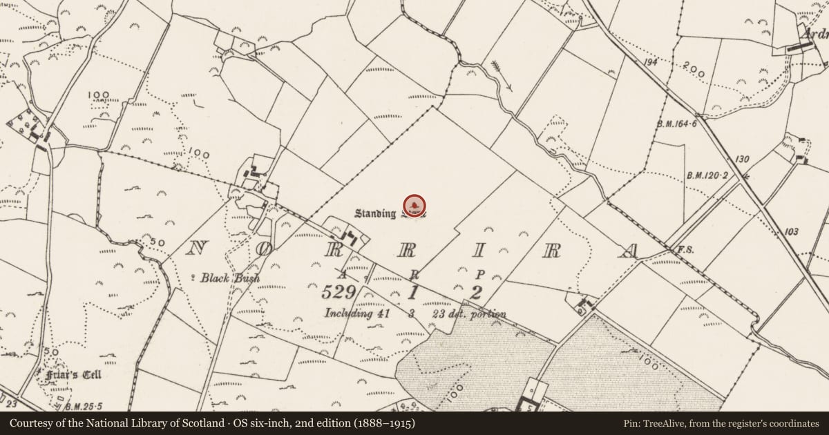 Ordnance Survey six-inch map, 2nd edition (1888–1915) covering the location of Standing stone, Norrira, County Donegal, with a pin at the register's coordinates