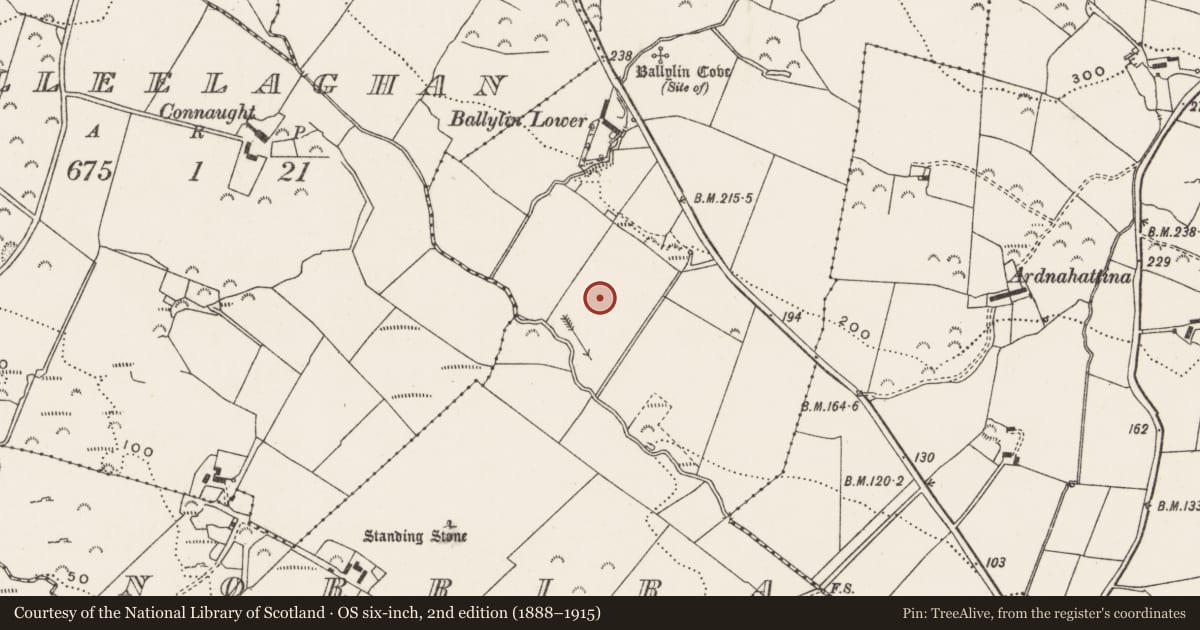 Ordnance Survey six-inch map, 2nd edition (1888–1915) covering the location of Standing stone, Norrira, County Donegal, with a pin at the register's coordinates