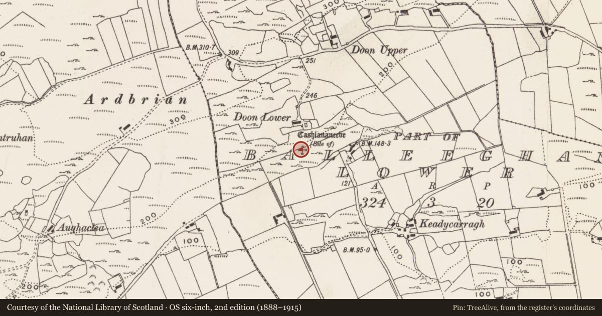 Ordnance Survey six-inch map, 2nd edition (1888–1915) covering the location of Ringfort - rath, Part of Balleeghan Lower, County Donegal, with a pin at the register's coordinates