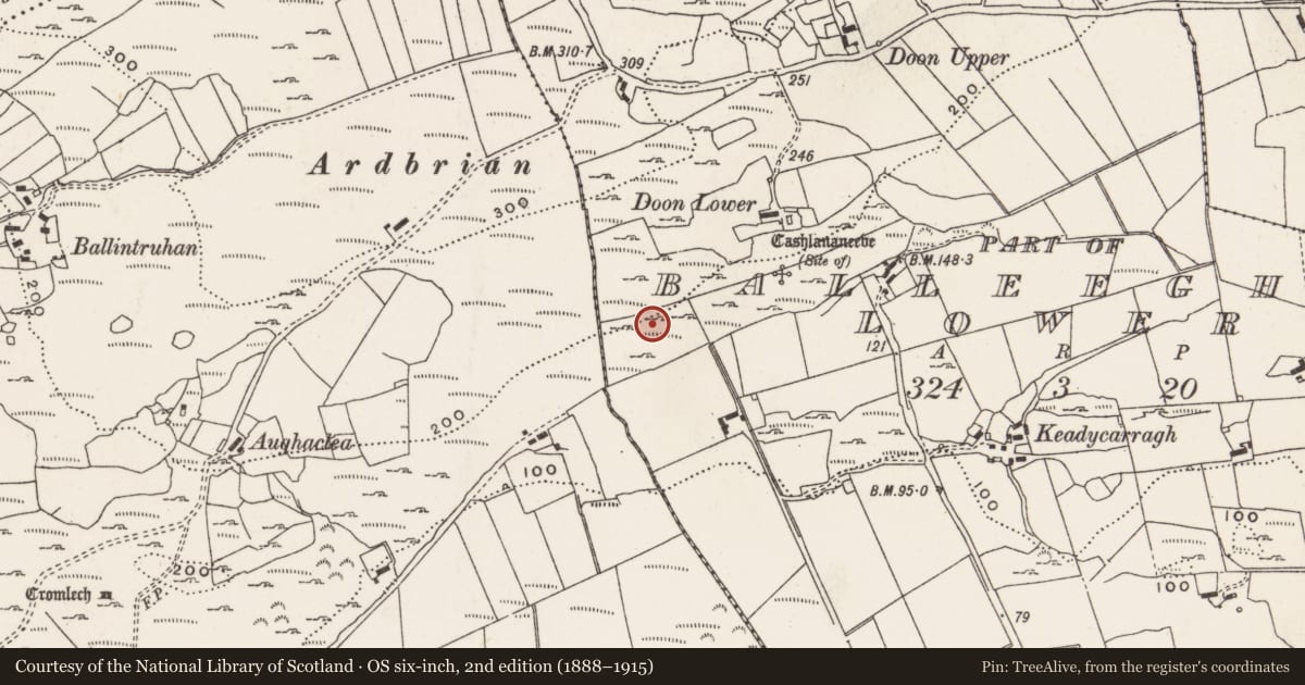 Ordnance Survey six-inch map, 2nd edition (1888–1915) covering the location of Ringfort - rath, Part of Balleeghan Lower, County Donegal, with a pin at the register's coordinates