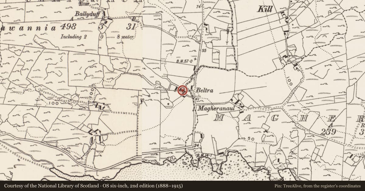 Ordnance Survey six-inch map, 2nd edition (1888–1915) covering the location of Cross, Carrowreagh Or Craignacally, County Donegal, with a pin at the register's coordinates