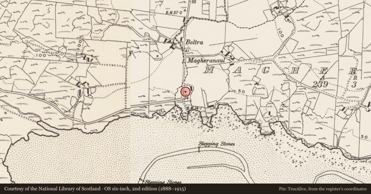 Ordnance Survey six-inch map, 2nd edition (1888–1915) covering the location of Ritual site - holy well, Magheranaul, County Donegal, with a pin at the register's coordinates