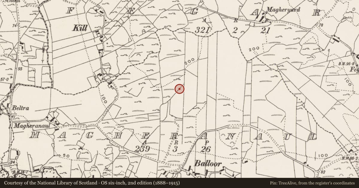 Ordnance Survey six-inch map, 2nd edition (1888–1915) covering the location of Rock art, Magheranaul, County Donegal, with a pin at the register's coordinates