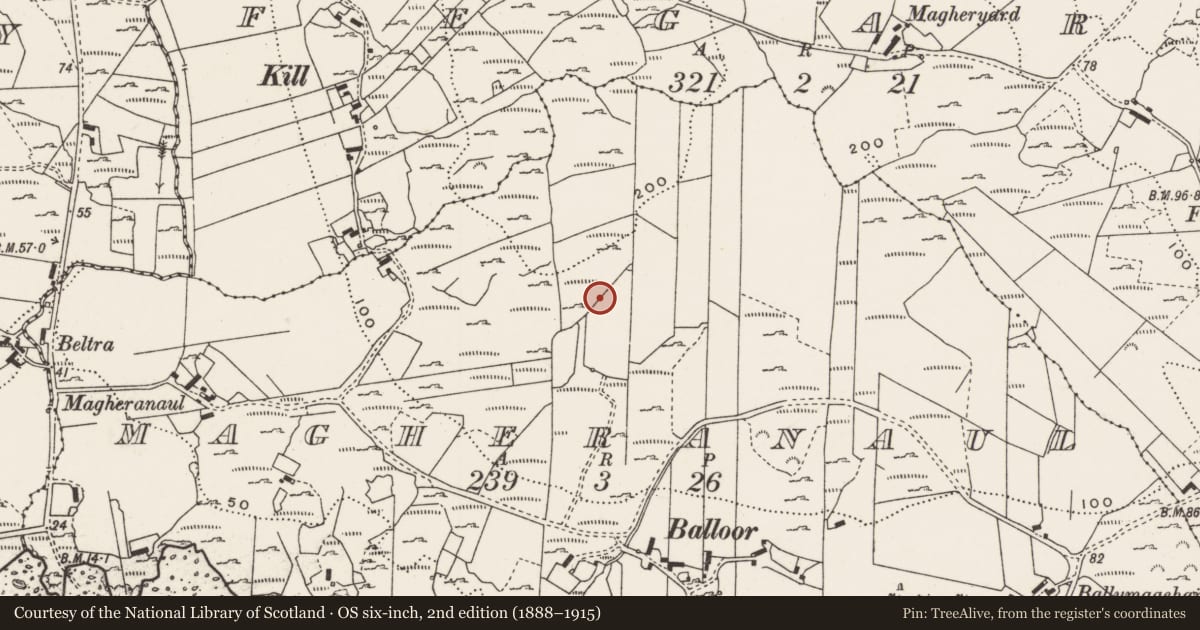 Ordnance Survey six-inch map, 2nd edition (1888–1915) covering the location of Rock art, Magheranaul, County Donegal, with a pin at the register's coordinates