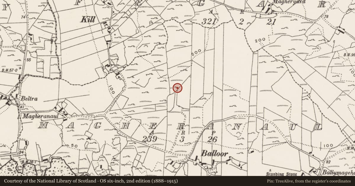 Ordnance Survey six-inch map, 2nd edition (1888–1915) covering the location of Rock art, Magheranaul, County Donegal, with a pin at the register's coordinates