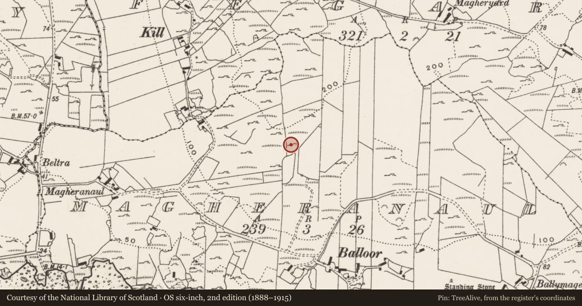 Ordnance Survey six-inch map, 2nd edition (1888–1915) covering the location of Rock art, Magheranaul, County Donegal, with a pin at the register's coordinates