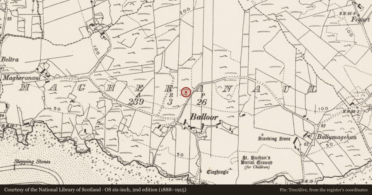 Ordnance Survey six-inch map, 2nd edition (1888–1915) covering the location of Rock art, Magheranaul, County Donegal, with a pin at the register's coordinates