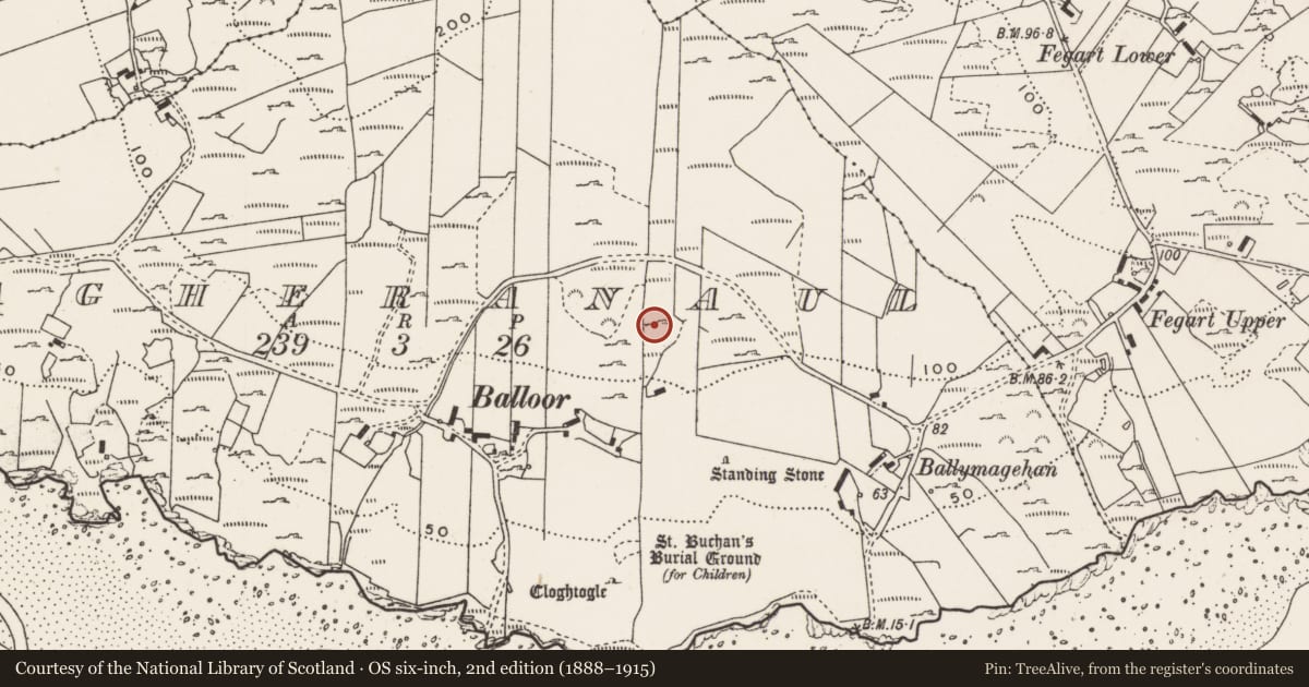 Ordnance Survey six-inch map, 2nd edition (1888–1915) covering the location of Rock art, Magheranaul, County Donegal, with a pin at the register's coordinates