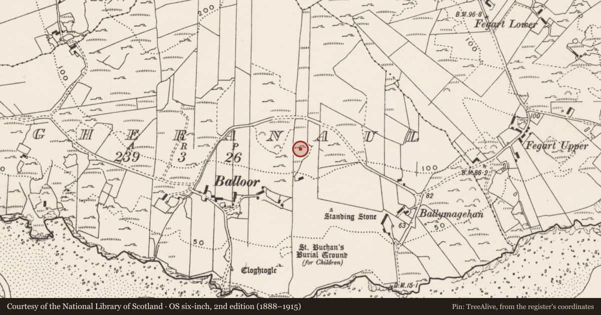 Ordnance Survey six-inch map, 2nd edition (1888–1915) covering the location of Rock art, Magheranaul, County Donegal, with a pin at the register's coordinates