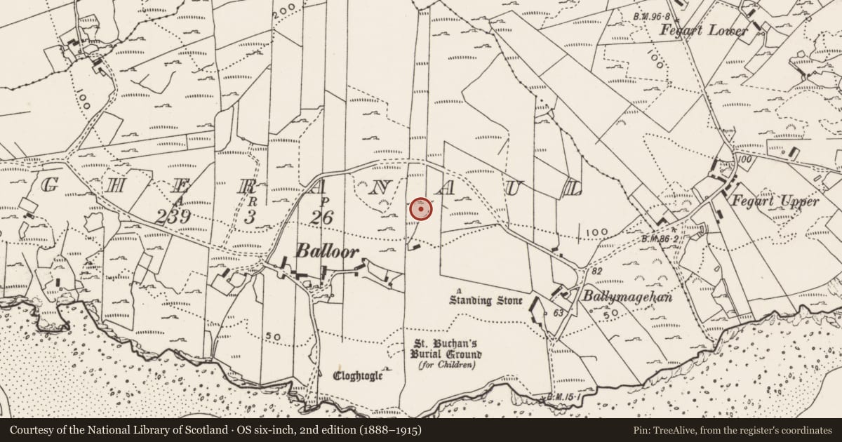 Ordnance Survey six-inch map, 2nd edition (1888–1915) covering the location of Rock art, Magheranaul, County Donegal, with a pin at the register's coordinates