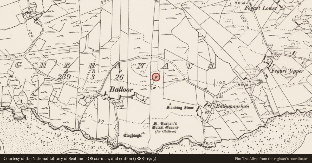 Ordnance Survey six-inch map, 2nd edition (1888–1915) covering the location of Rock art, Magheranaul, County Donegal, with a pin at the register's coordinates