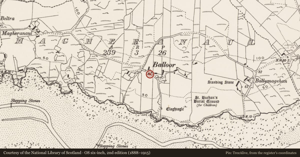 Ordnance Survey six-inch map, 2nd edition (1888–1915) covering the location of Bullaun stone, Magheranaul, County Donegal, with a pin at the register's coordinates