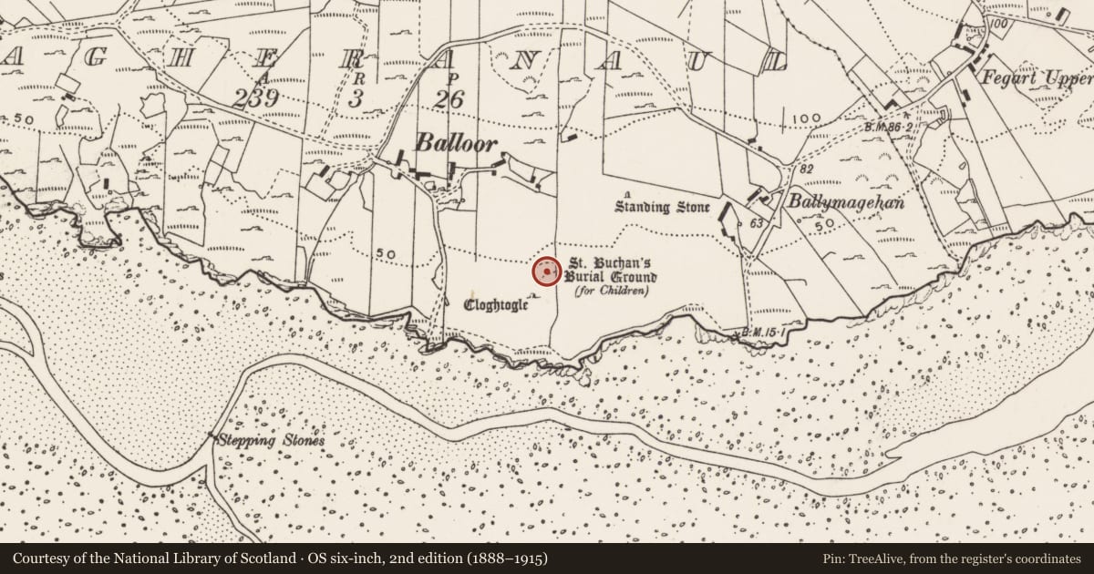 Ordnance Survey six-inch map, 2nd edition (1888–1915) covering the location of Children's burial ground, Magheranaul, County Donegal, with a pin at the register's coordinates