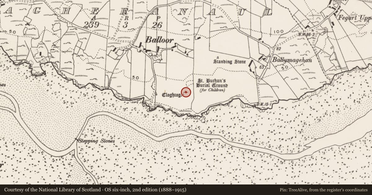 Ordnance Survey six-inch map, 2nd edition (1888–1915) covering the location of Rock art, Magheranaul, County Donegal, with a pin at the register's coordinates