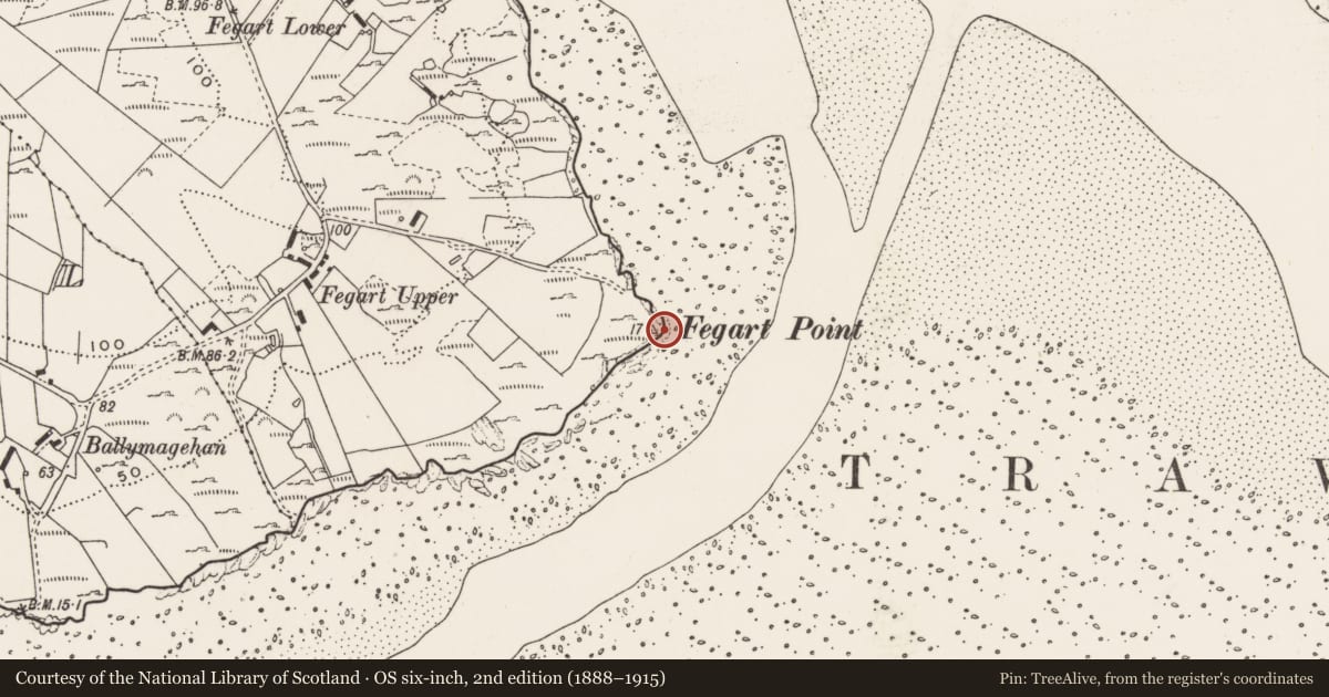 Ordnance Survey six-inch map, 2nd edition (1888–1915) covering the location of Standing stone, Fegart, County Donegal, with a pin at the register's coordinates