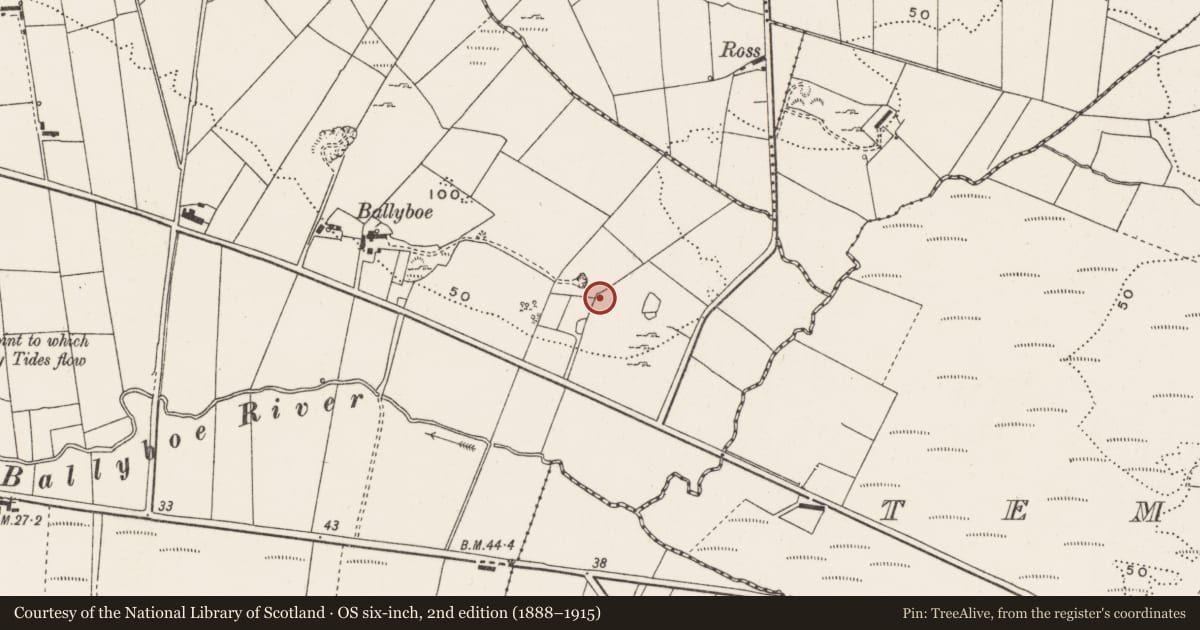 Ordnance Survey six-inch map, 2nd edition (1888–1915) covering the location of Rock art, Drumcarbit, County Donegal, with a pin at the register's coordinates