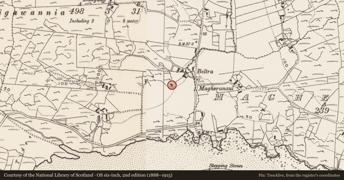 Ordnance Survey six-inch map, 2nd edition (1888–1915) covering the location of Megalithic tomb - unclassified, Carrowreagh Or Craignacally, County Donegal, with a pin at the register's coordinates