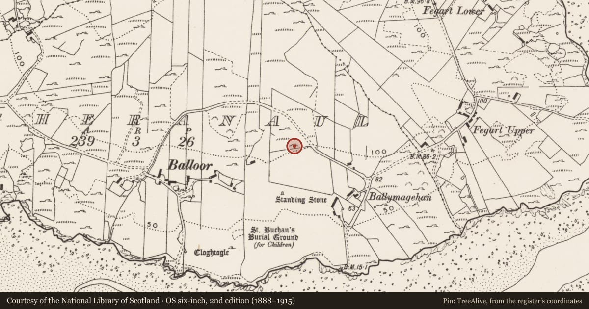 Ordnance Survey six-inch map, 2nd edition (1888–1915) covering the location of Rock art, Magheranaul, County Donegal, with a pin at the register's coordinates