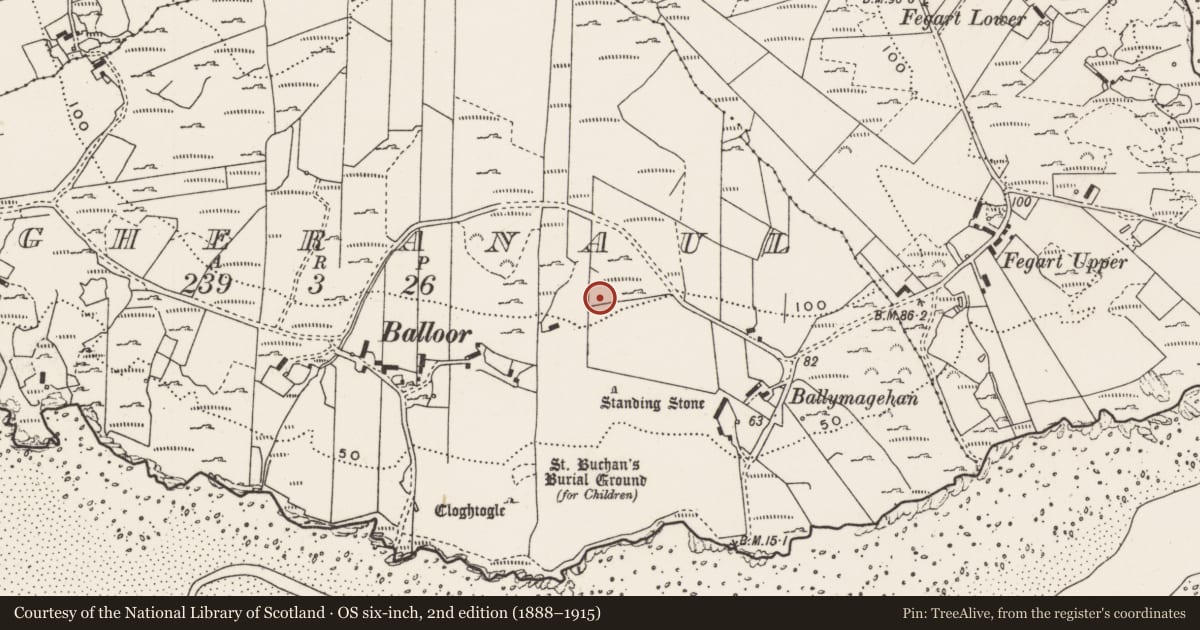 Ordnance Survey six-inch map, 2nd edition (1888–1915) covering the location of Rock art, Magheranaul, County Donegal, with a pin at the register's coordinates