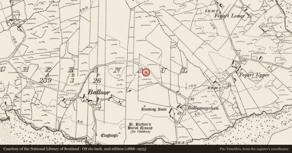 Ordnance Survey six-inch map, 2nd edition (1888–1915) covering the location of Rock art, Magheranaul, County Donegal, with a pin at the register's coordinates