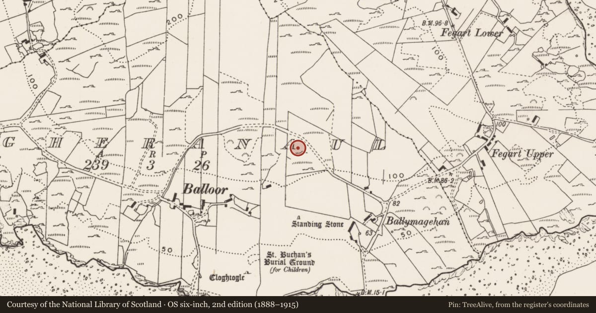 Ordnance Survey six-inch map, 2nd edition (1888–1915) covering the location of Rock art, Magheranaul, County Donegal, with a pin at the register's coordinates