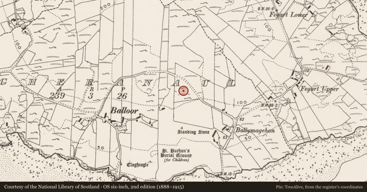 Ordnance Survey six-inch map, 2nd edition (1888–1915) covering the location of Rock art, Magheranaul, County Donegal, with a pin at the register's coordinates