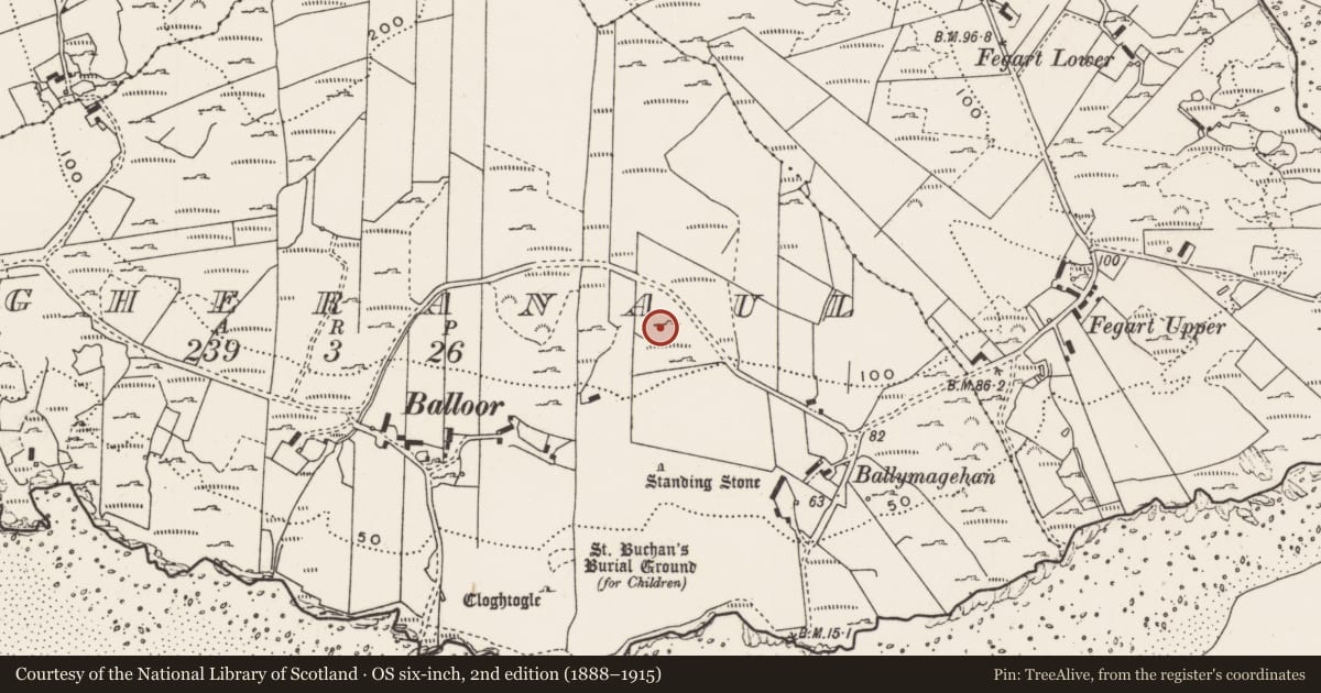 Ordnance Survey six-inch map, 2nd edition (1888–1915) covering the location of Rock art, Magheranaul, County Donegal, with a pin at the register's coordinates