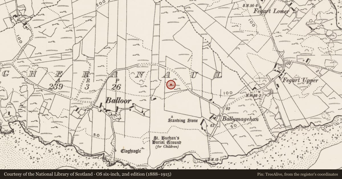 Ordnance Survey six-inch map, 2nd edition (1888–1915) covering the location of Rock art, Magheranaul, County Donegal, with a pin at the register's coordinates