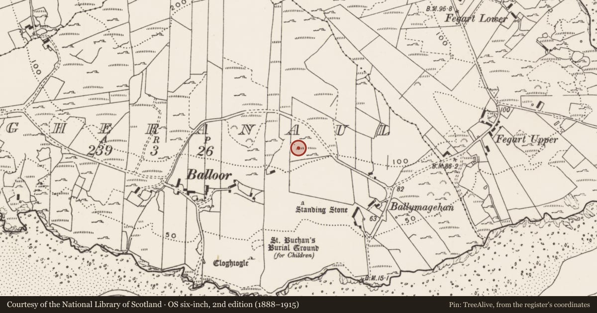 Ordnance Survey six-inch map, 2nd edition (1888–1915) covering the location of Rock art, Magheranaul, County Donegal, with a pin at the register's coordinates