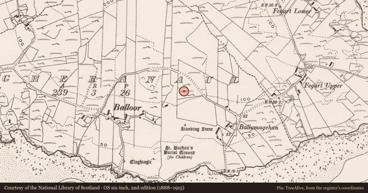 Ordnance Survey six-inch map, 2nd edition (1888–1915) covering the location of Rock art, Magheranaul, County Donegal, with a pin at the register's coordinates