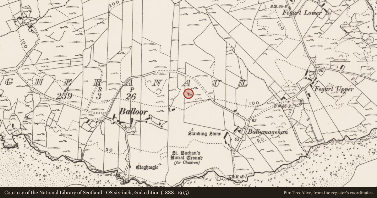 Ordnance Survey six-inch map, 2nd edition (1888–1915) covering the location of Rock art, Magheranaul, County Donegal, with a pin at the register's coordinates