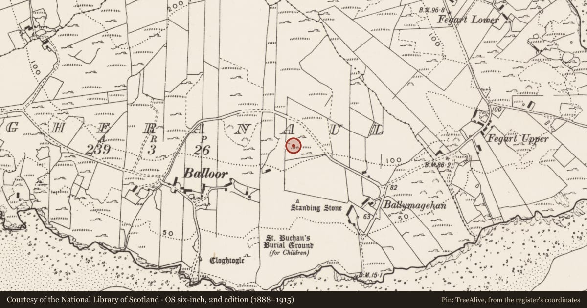 Ordnance Survey six-inch map, 2nd edition (1888–1915) covering the location of Rock art, Magheranaul, County Donegal, with a pin at the register's coordinates