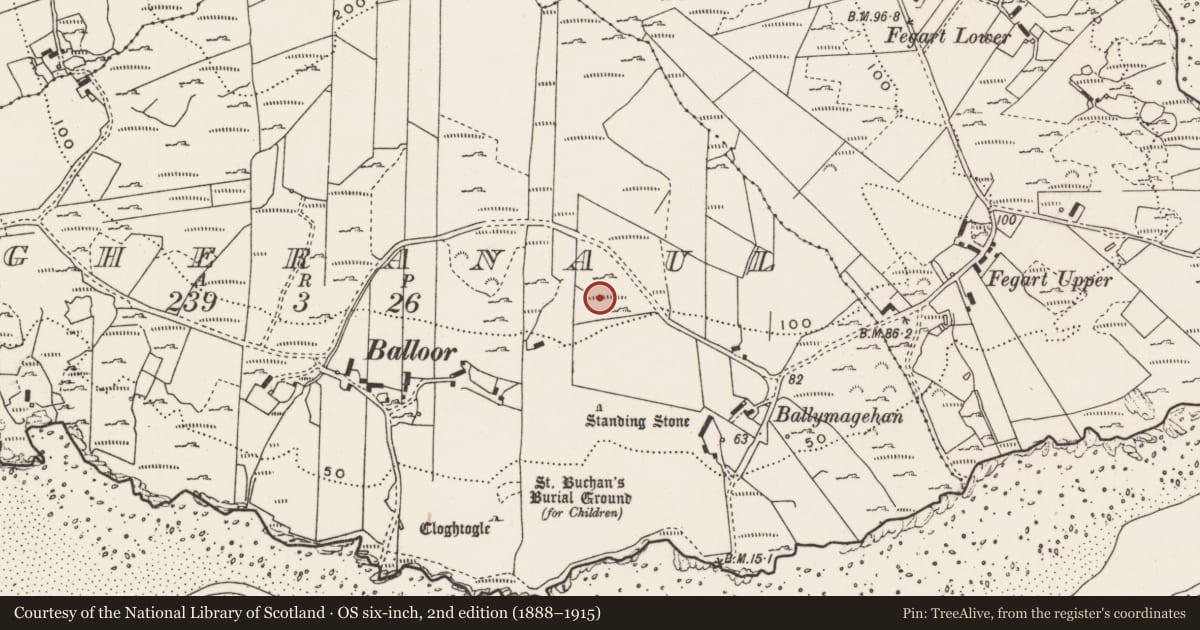 Ordnance Survey six-inch map, 2nd edition (1888–1915) covering the location of Rock art, Magheranaul, County Donegal, with a pin at the register's coordinates