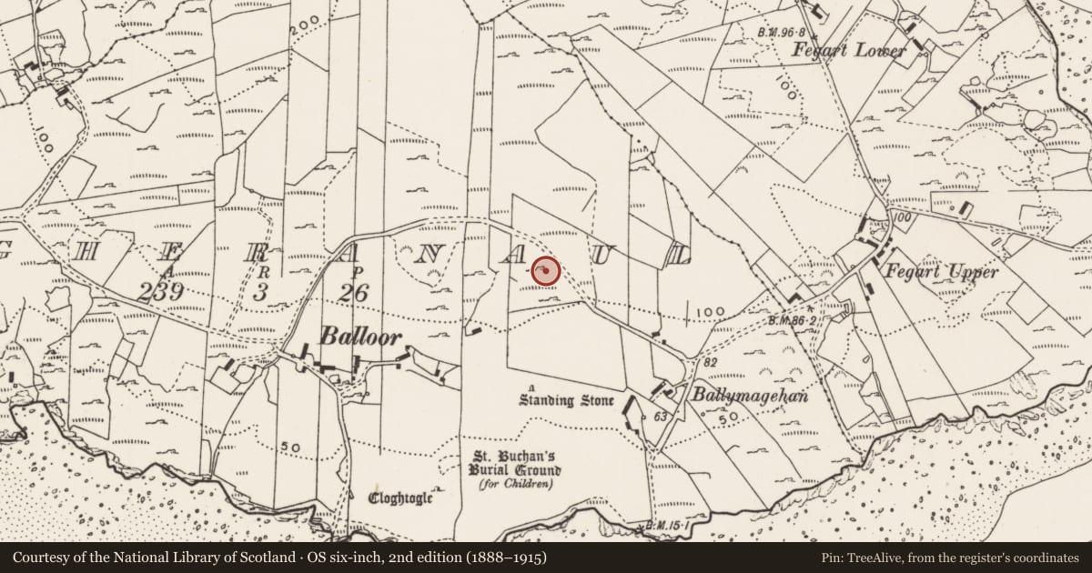 Ordnance Survey six-inch map, 2nd edition (1888–1915) covering the location of Rock art, Magheranaul, County Donegal, with a pin at the register's coordinates