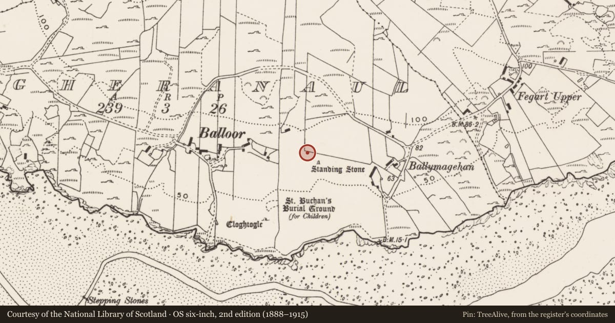 Ordnance Survey six-inch map, 2nd edition (1888–1915) covering the location of Rock art, Magheranaul, County Donegal, with a pin at the register's coordinates