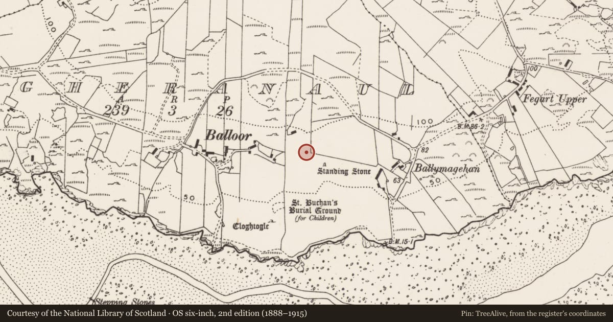 Ordnance Survey six-inch map, 2nd edition (1888–1915) covering the location of Rock art, Magheranaul, County Donegal, with a pin at the register's coordinates