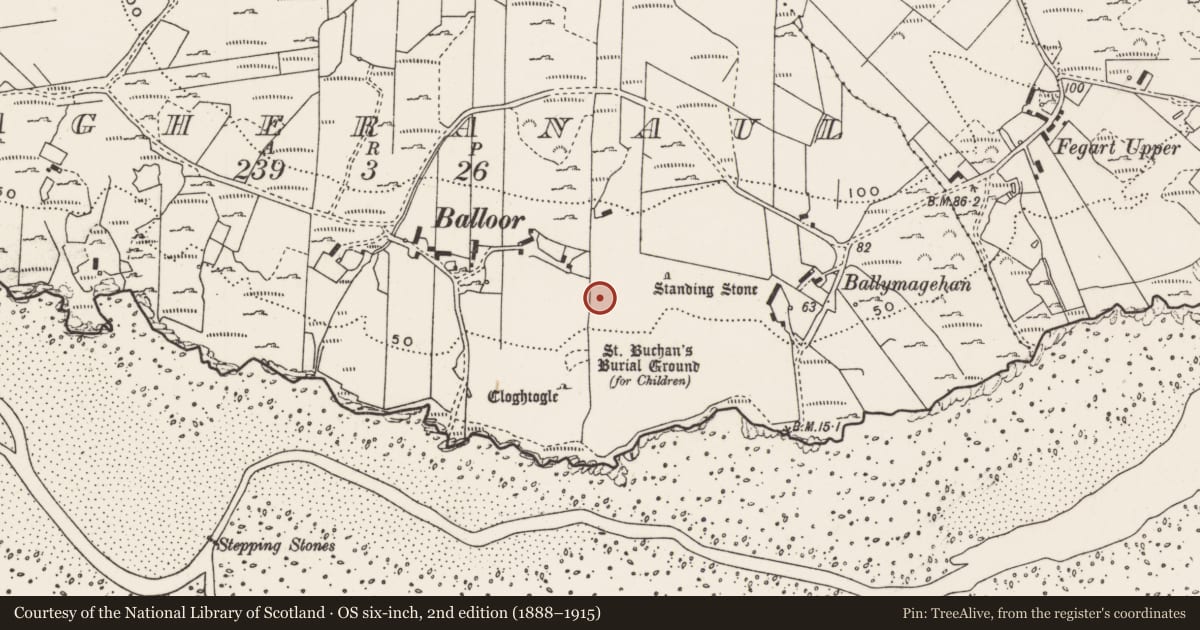 Ordnance Survey six-inch map, 2nd edition (1888–1915) covering the location of Rock art, Magheranaul, County Donegal, with a pin at the register's coordinates