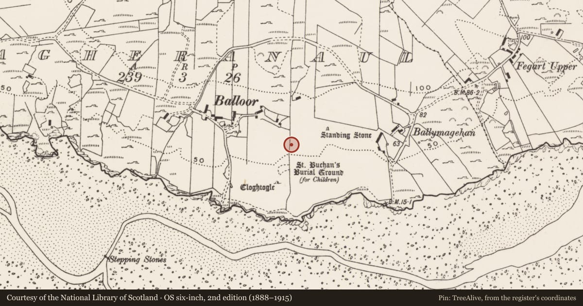 Ordnance Survey six-inch map, 2nd edition (1888–1915) covering the location of Rock art, Magheranaul, County Donegal, with a pin at the register's coordinates