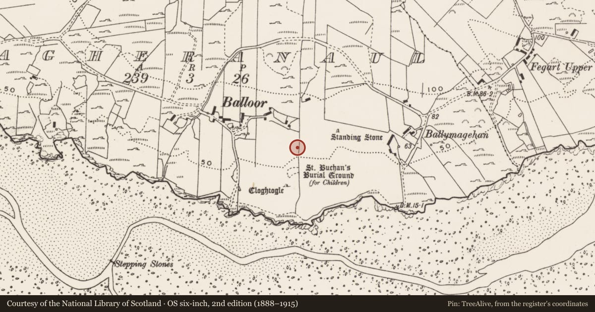 Ordnance Survey six-inch map, 2nd edition (1888–1915) covering the location of Rock art, Magheranaul, County Donegal, with a pin at the register's coordinates