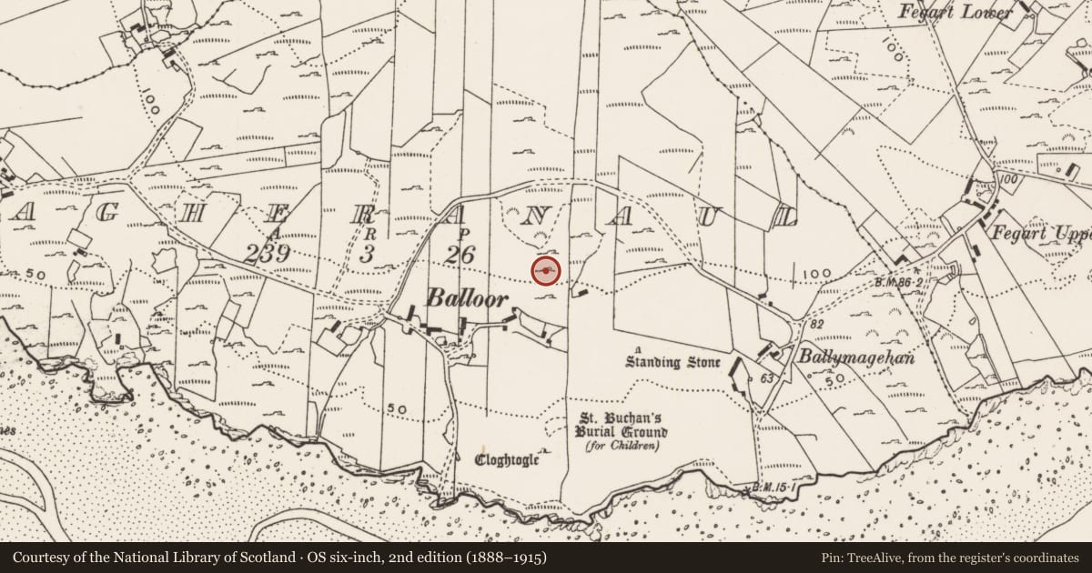 Ordnance Survey six-inch map, 2nd edition (1888–1915) covering the location of Rock art, Magheranaul, County Donegal, with a pin at the register's coordinates