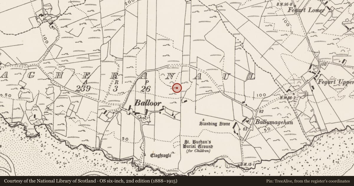 Ordnance Survey six-inch map, 2nd edition (1888–1915) covering the location of Rock art, Magheranaul, County Donegal, with a pin at the register's coordinates