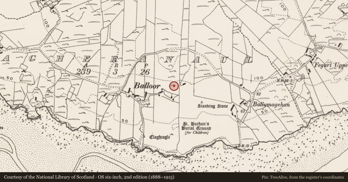 Ordnance Survey six-inch map, 2nd edition (1888–1915) covering the location of Rock art, Magheranaul, County Donegal, with a pin at the register's coordinates