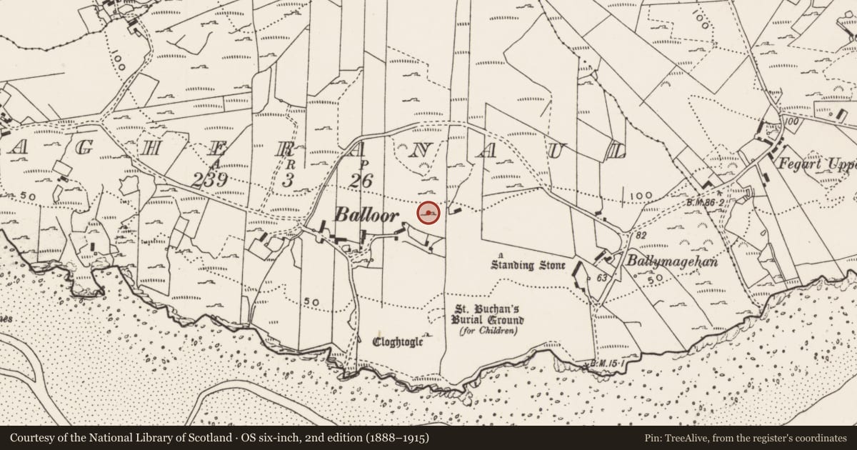 Ordnance Survey six-inch map, 2nd edition (1888–1915) covering the location of Rock art, Magheranaul, County Donegal, with a pin at the register's coordinates