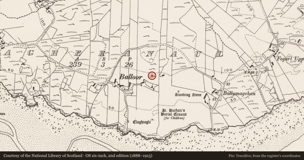 Ordnance Survey six-inch map, 2nd edition (1888–1915) covering the location of Rock art, Magheranaul, County Donegal, with a pin at the register's coordinates