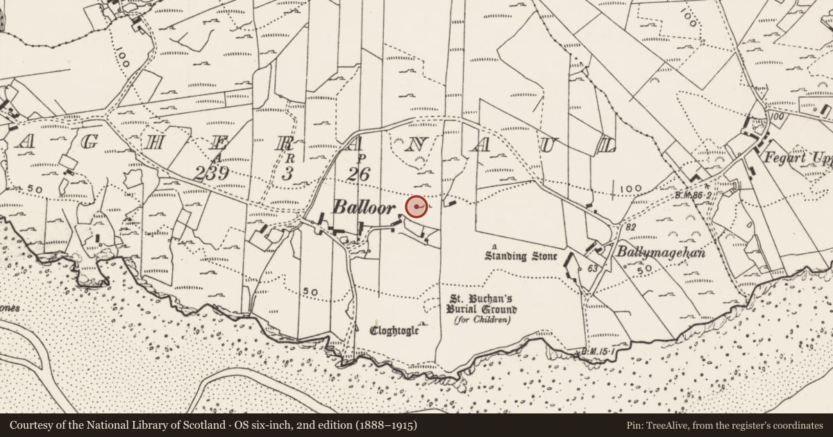 Ordnance Survey six-inch map, 2nd edition (1888–1915) covering the location of Rock art, Magheranaul, County Donegal, with a pin at the register's coordinates