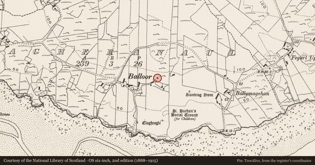 Ordnance Survey six-inch map, 2nd edition (1888–1915) covering the location of Rock art, Magheranaul, County Donegal, with a pin at the register's coordinates