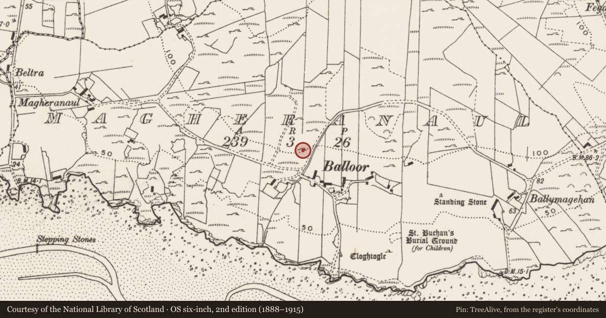 Ordnance Survey six-inch map, 2nd edition (1888–1915) covering the location of Rock art, Magheranaul, County Donegal, with a pin at the register's coordinates