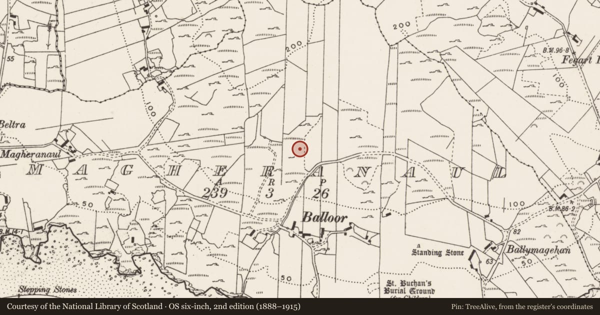 Ordnance Survey six-inch map, 2nd edition (1888–1915) covering the location of Rock art, Magheranaul, County Donegal, with a pin at the register's coordinates