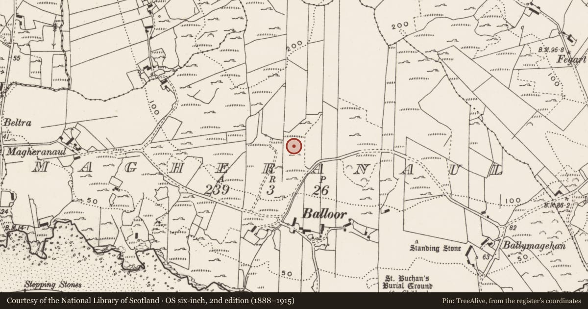 Ordnance Survey six-inch map, 2nd edition (1888–1915) covering the location of Rock art, Magheranaul, County Donegal, with a pin at the register's coordinates